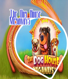 Dog house slot