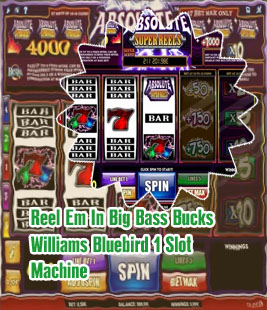 Reel em in slot machine