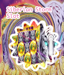 Siberian storm slot