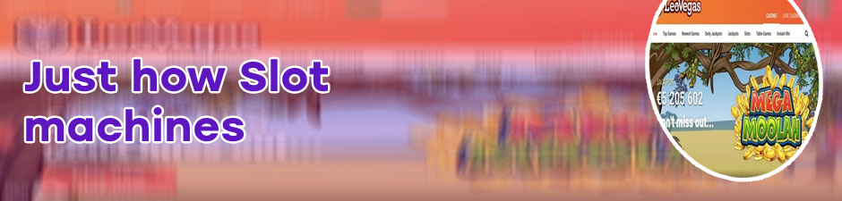 Slot nuts casino