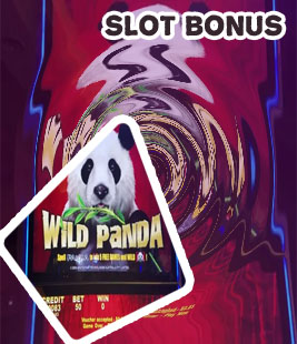 Wild panda slots